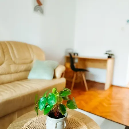 Noah Downtown * Timisoara