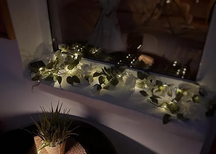 Noah Downtown Apartment Timisoara