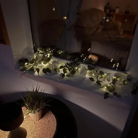 Noah Downtown Appartement Timişoara