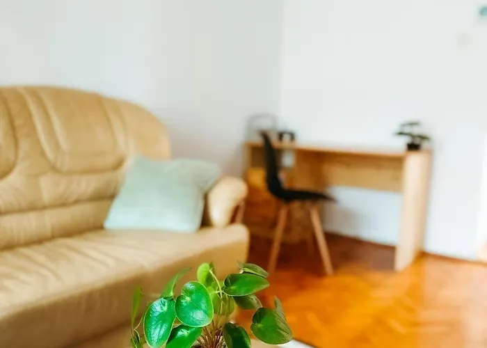 Noah Downtown * Timişoara